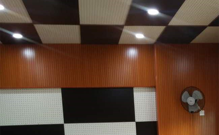 廣東東莞市小學(xué)多功能室吸音板工程