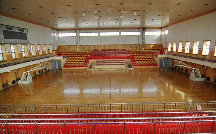 廣東東莞某中學(xué)體育館吸音板工程