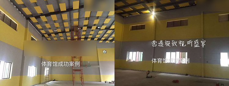 廣州室內(nèi)體育館吸音板工程 廣州室內(nèi)體育館吸音板工程