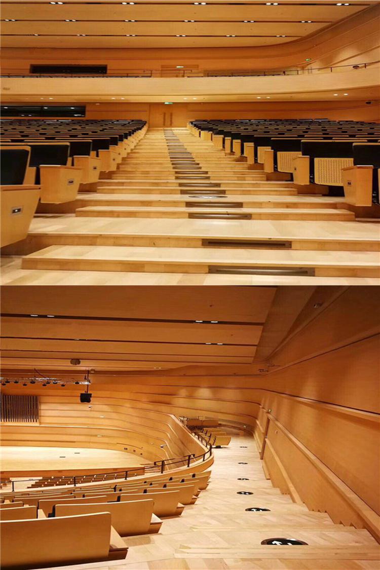 陜西咸陽(yáng)學(xué)校音樂(lè)廳吸音材料聲學(xué)工程 陜西咸陽(yáng)學(xué)校音樂(lè)廳吸音材料聲學(xué)工程