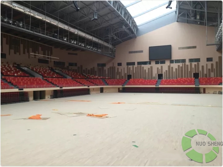 體育館聲學設計方案