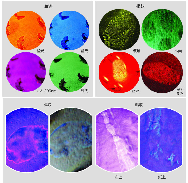 1629362038244784.jpg CI02-V2中文詳情_06.jpg