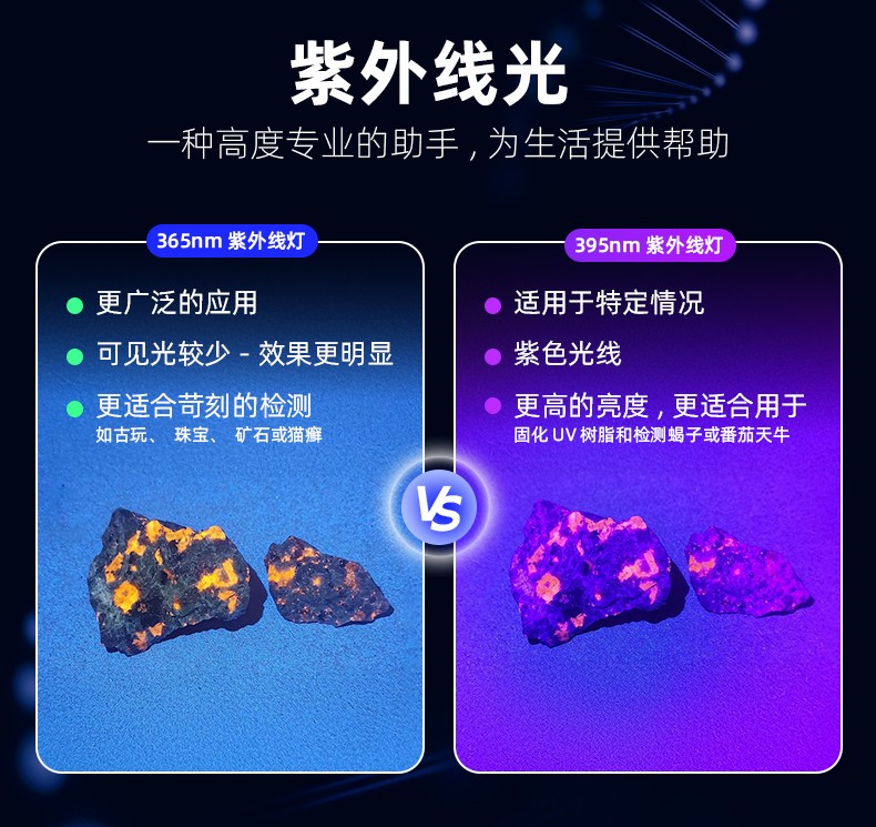 1761902881558134.jpg TK566詳情_03.jpg